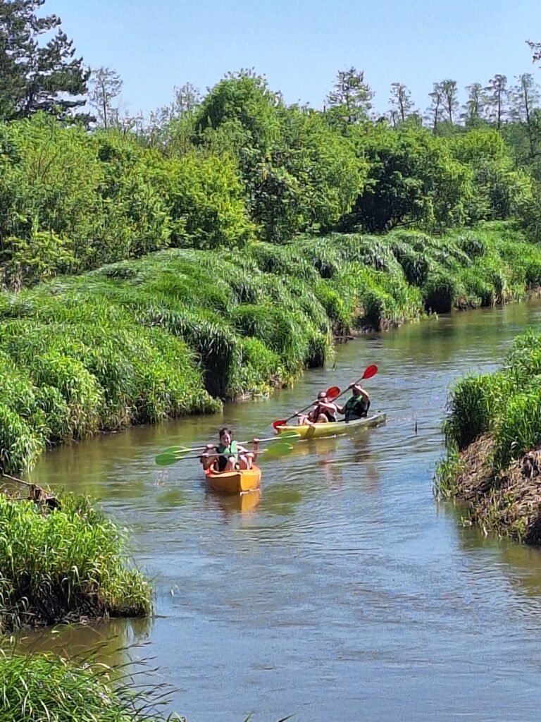 PHOTO-2025-06-06-10-08-22 2