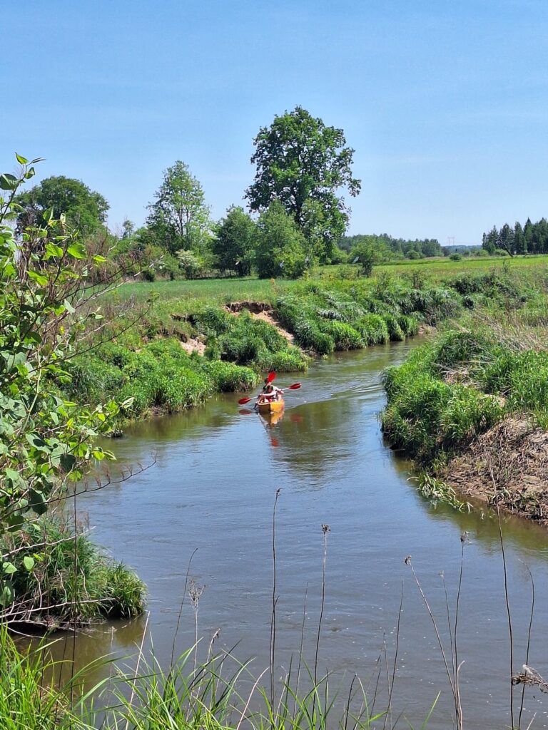 PHOTO-2025-06-06-10-08-22 3